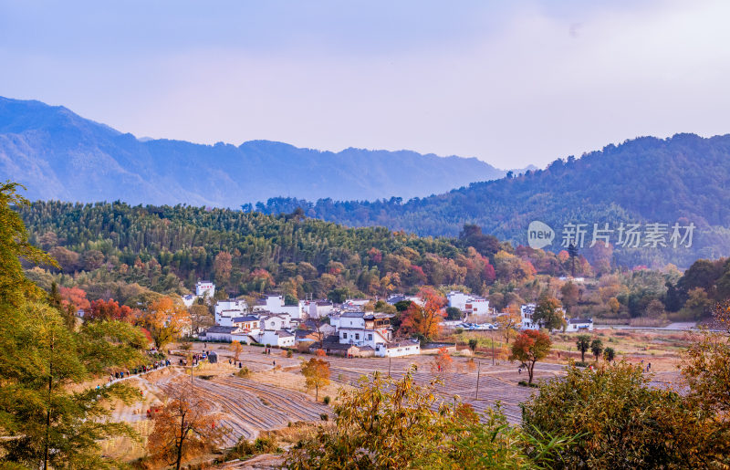 深秋安徽黄山市塔川秋色风光