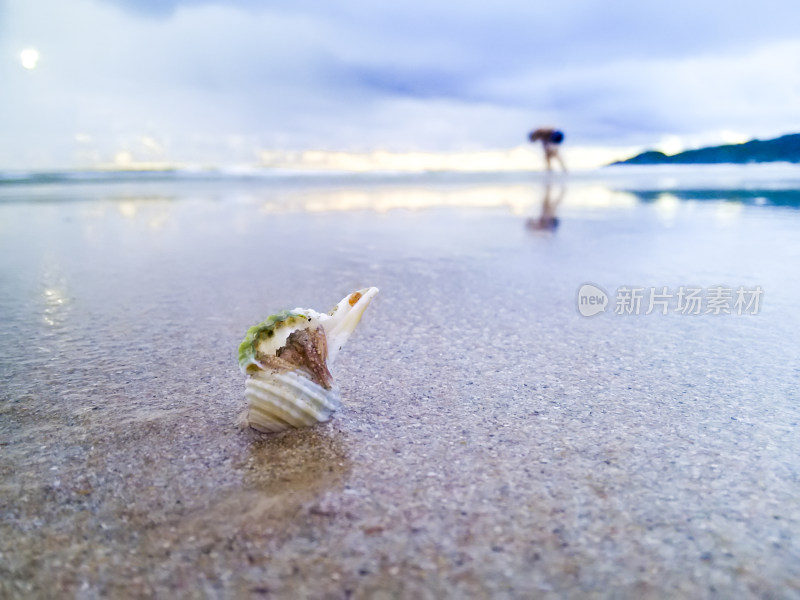 海滩沙滩海岸线