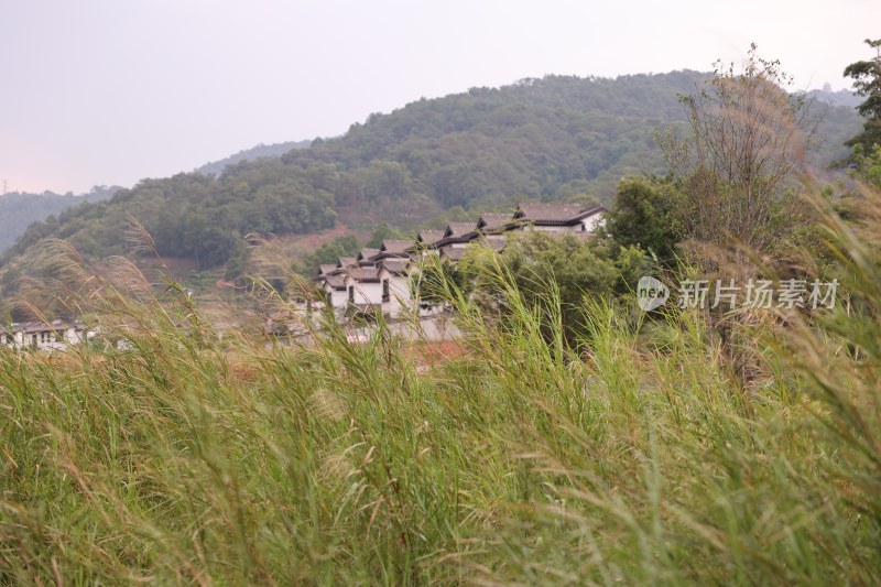 普洱市茶马古镇风景照片