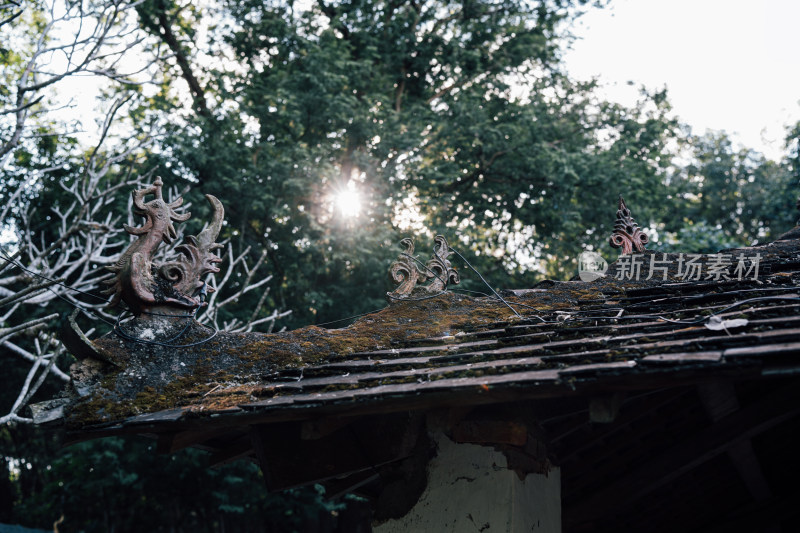 西双版纳曼丢佛寺