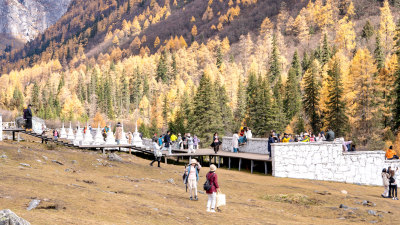 四川阿坝四姑娘山双桥沟景区的秋色正浓