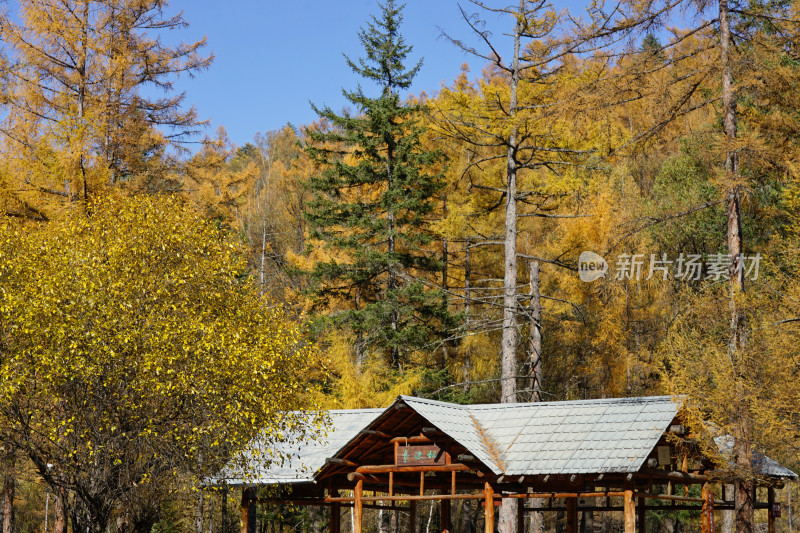 长白山南风景区，山脚下的秋色