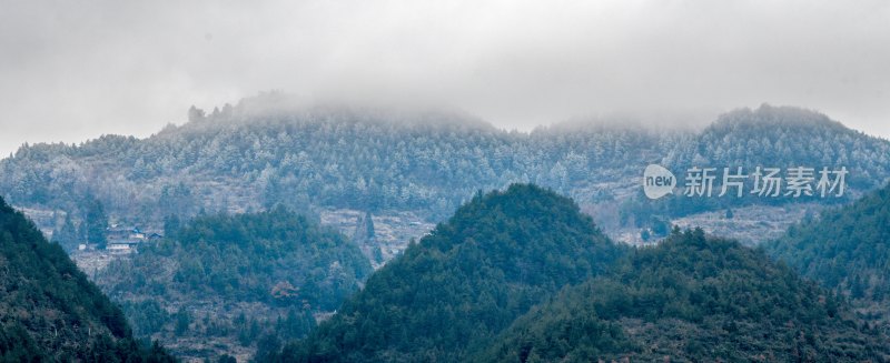 重庆酉阳：群山中的茶山