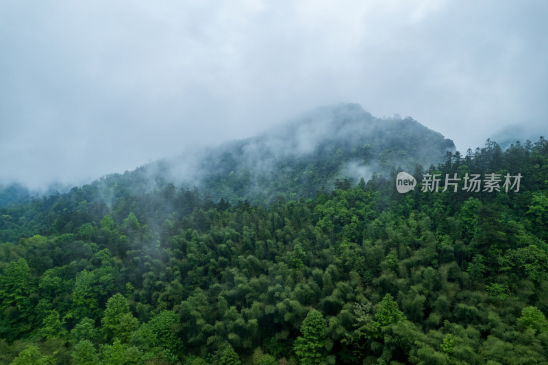 山林云雾缭绕自然景观