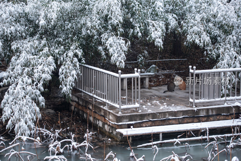 雪后岸边栏杆与覆雪植被景观