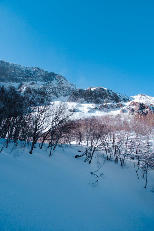 长白山雪山风景