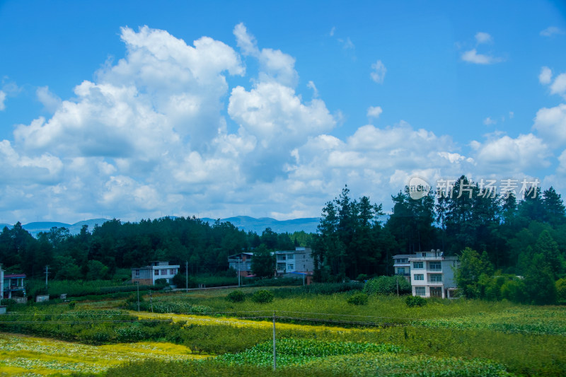 蓝天白云下的乡村住宅