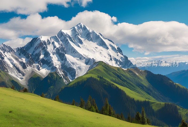 雪山草原森林风景