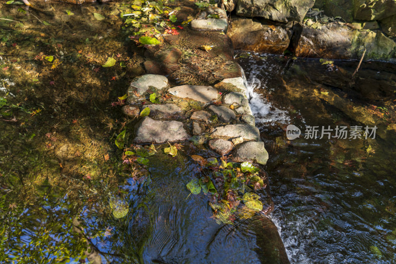 杭州西湖九溪风景区秋天风景