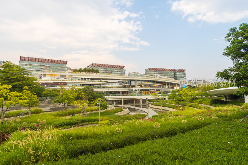 城市建筑旁的绿地景观