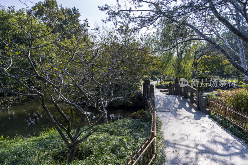 杭州西湖花港观鱼风景