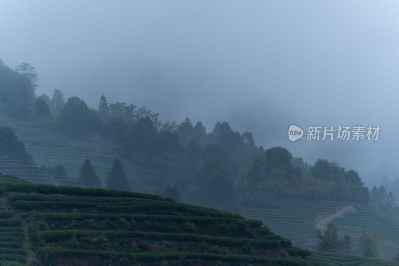 中国意境国风水墨山水云雾日出森林茶园