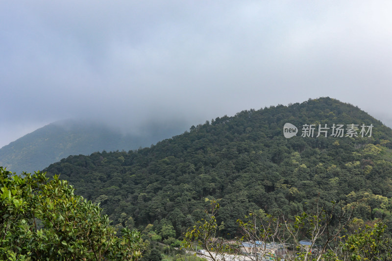 深圳梧桐山景观