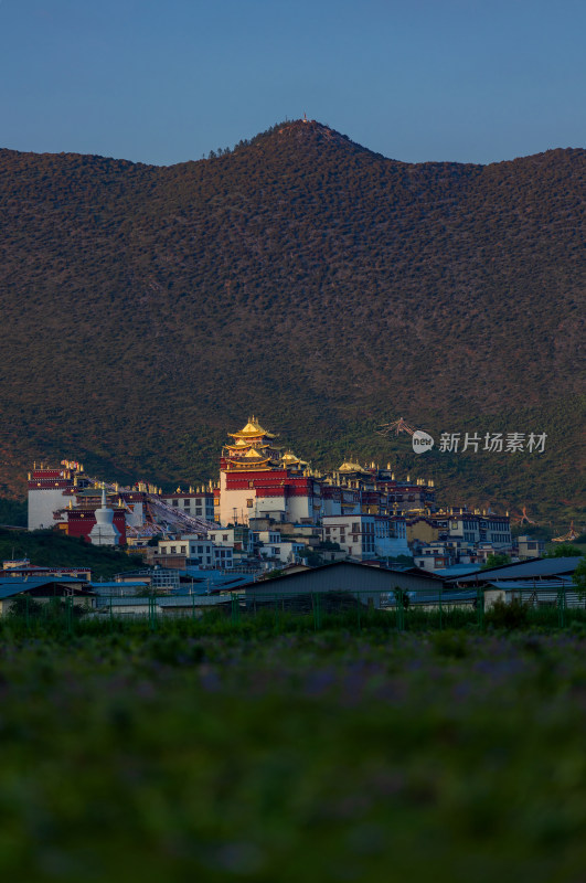 云南香格里拉松赞林寺