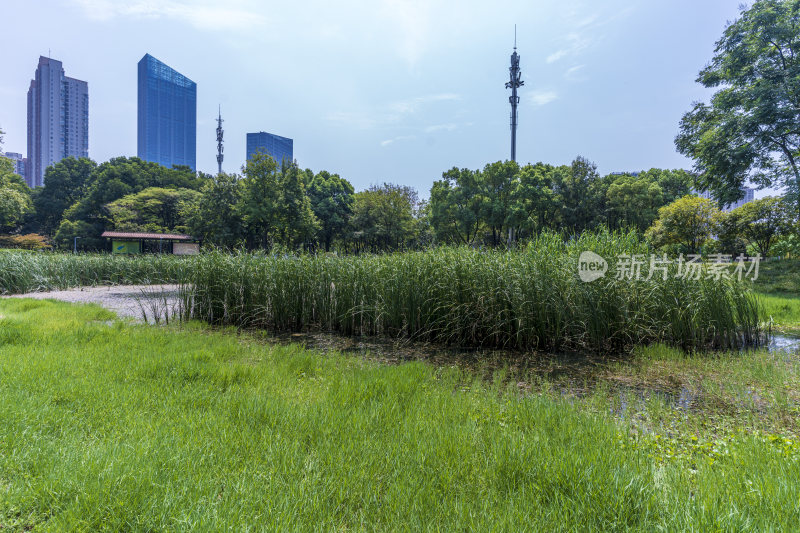 武汉江汉区后襄河公园风景