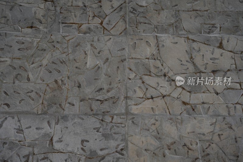 纹理斑驳的石板地面