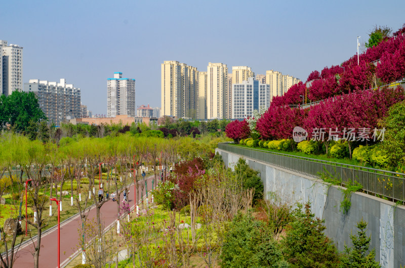 渭南市春天的南湖公园风景