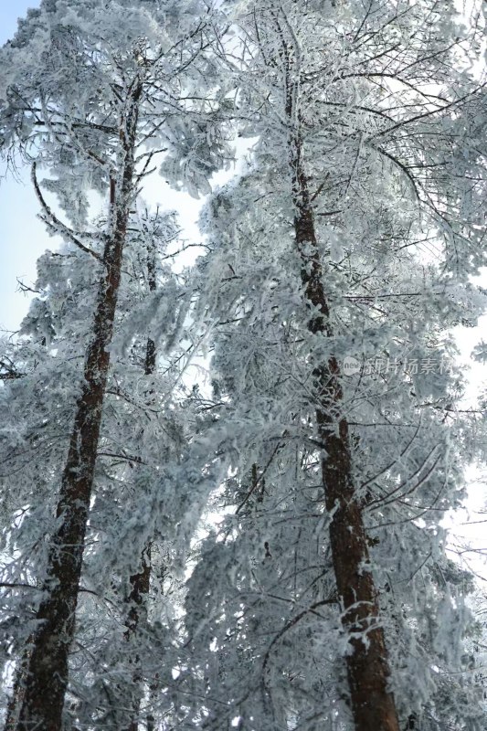 大山披雪装，冰雪盛景韵悠长