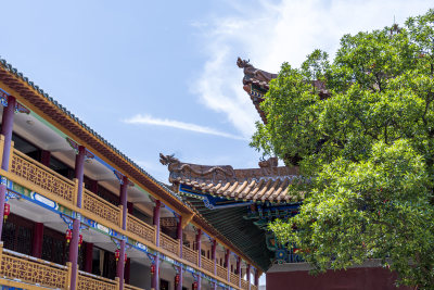 武汉洪山区宝通禅寺风景