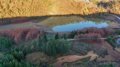 重庆酉阳：天山堡水杉红似火