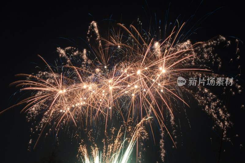 绚烂多彩的夜空烟花绽放全景