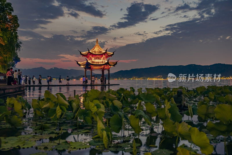 杭州西湖集贤亭夜景