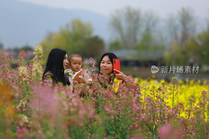 汉中皇塘的油菜花