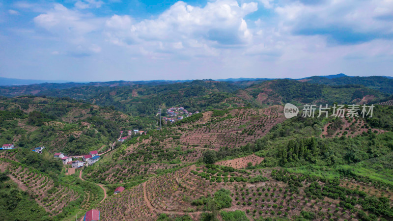 山川丘陵水果种植水果基地航拍