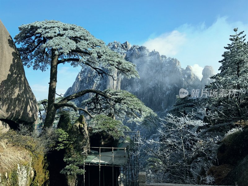 大美中国黄山雪景日出迎客松云雾缭绕