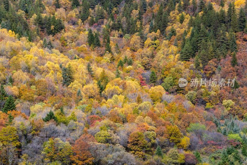 九寨沟秋色，山间层林尽染