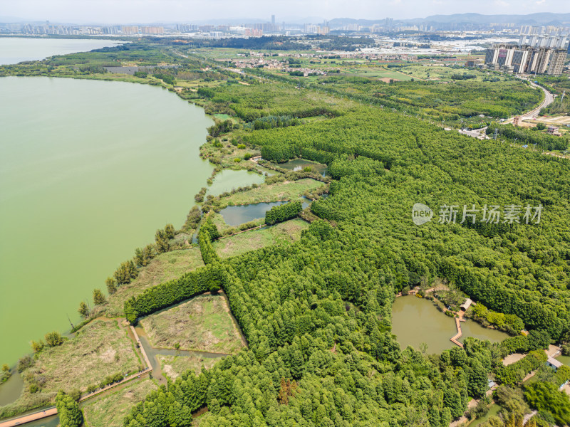 航拍昆明滇池捞鱼河湿地公园景观