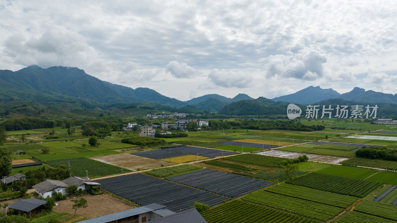 航拍武夷山绿色农田与茶园