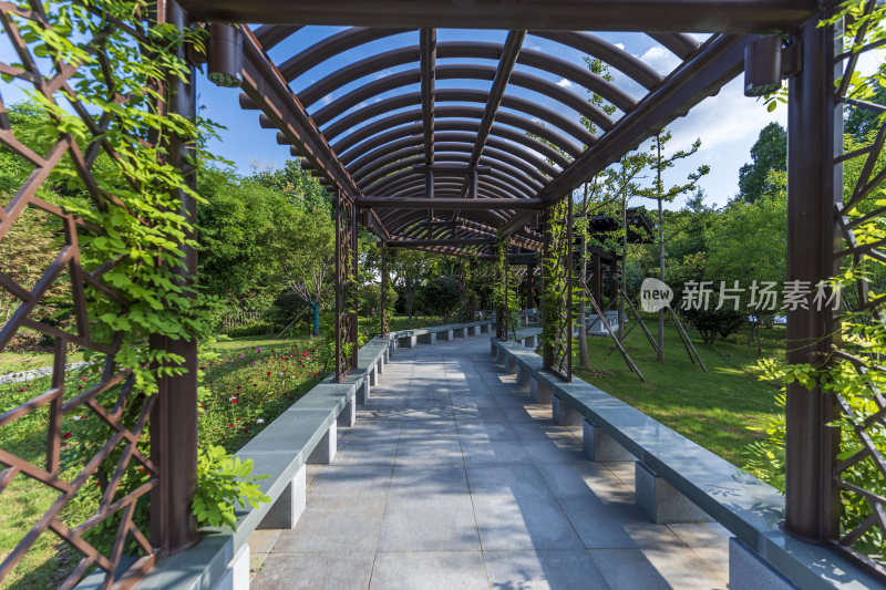 武汉东湖湖北书画院风景