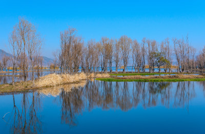 云南大理洱海湖畔树林秋景自然风光