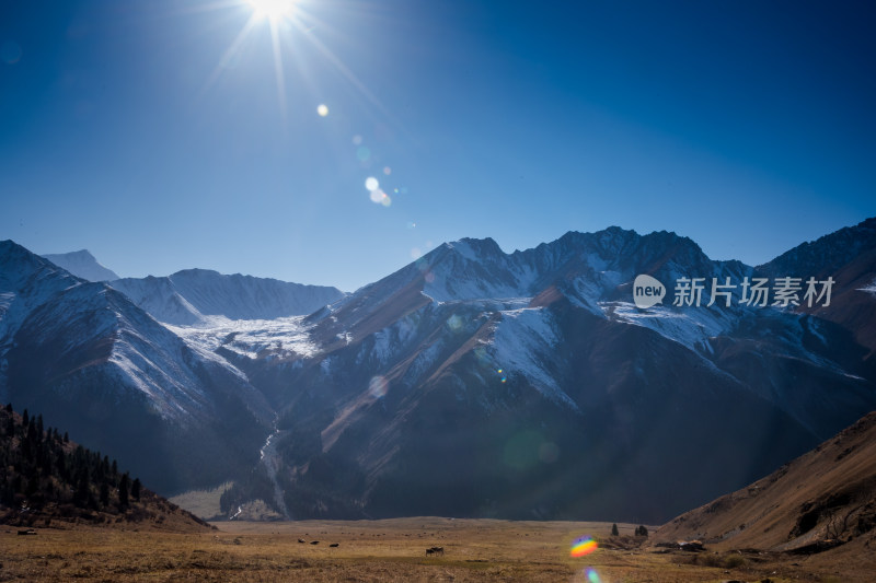 阳光下雪山草原自然风景