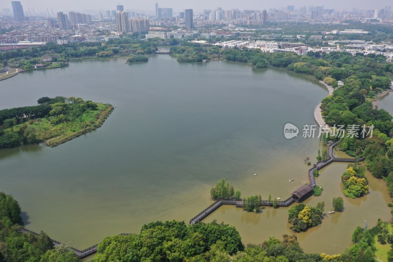 广州海珠湖海珠湿地航拍