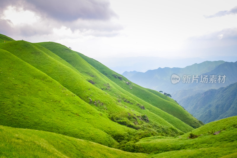 江西武功山高山草甸