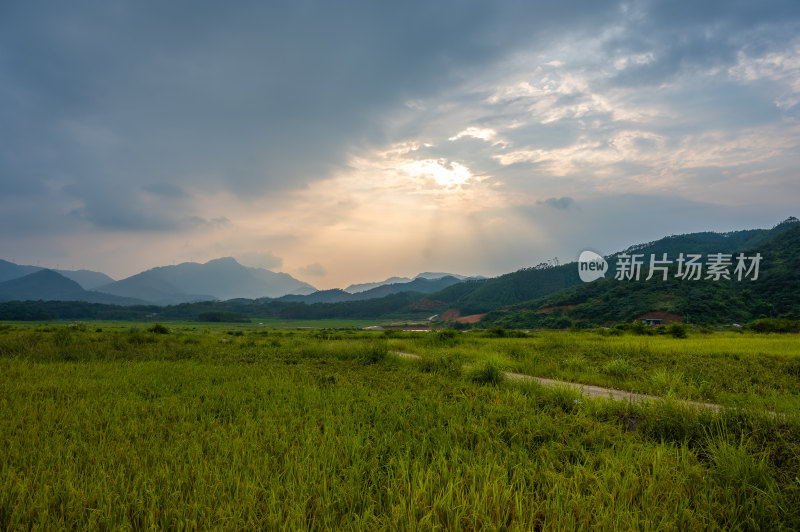 高山田野景观