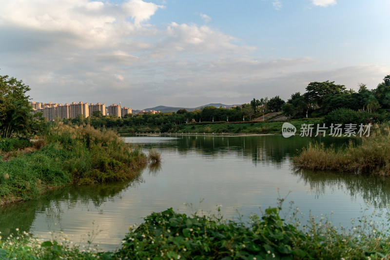 城市边缘的宁静湖泊