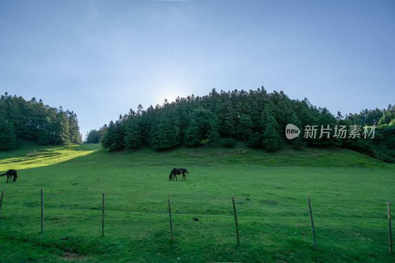 重庆市武隆区仙女山国家森林公园