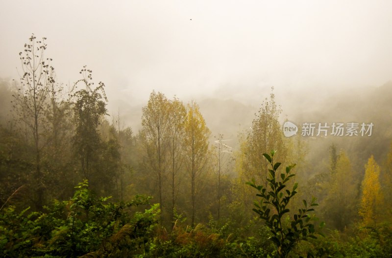 重庆酉阳：迷人的岩门底风光