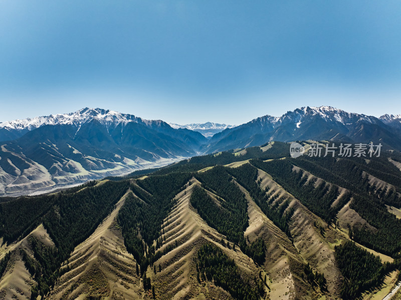 雪山下的草原森林