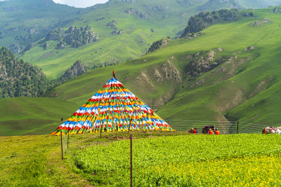 青海祁连县卓尔山，夏季起伏的高山经幡