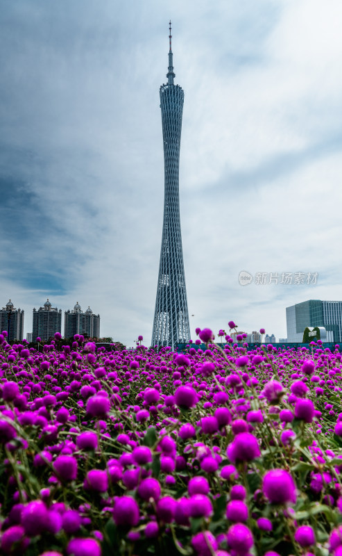 中国广东省广州市广州塔小蛮腰