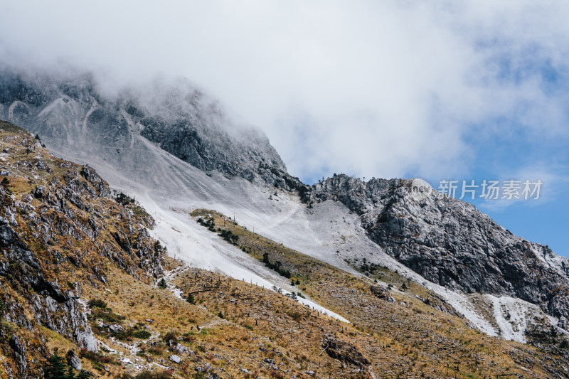 丽江玉龙雪山蚂蝗坝