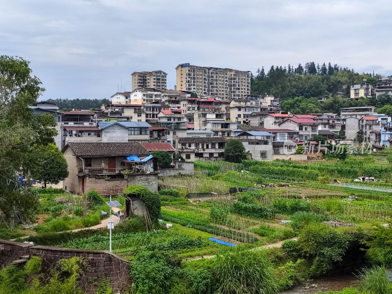 乡村房屋与田地相间的景象