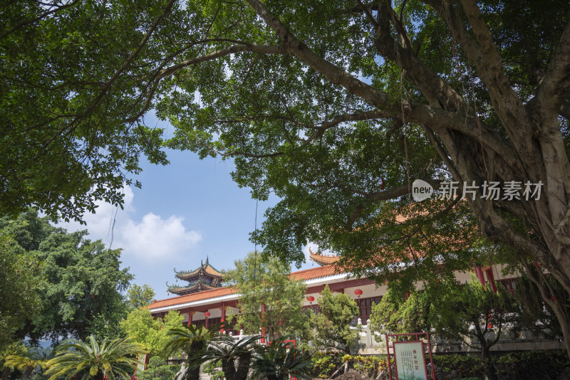 珠海金台寺