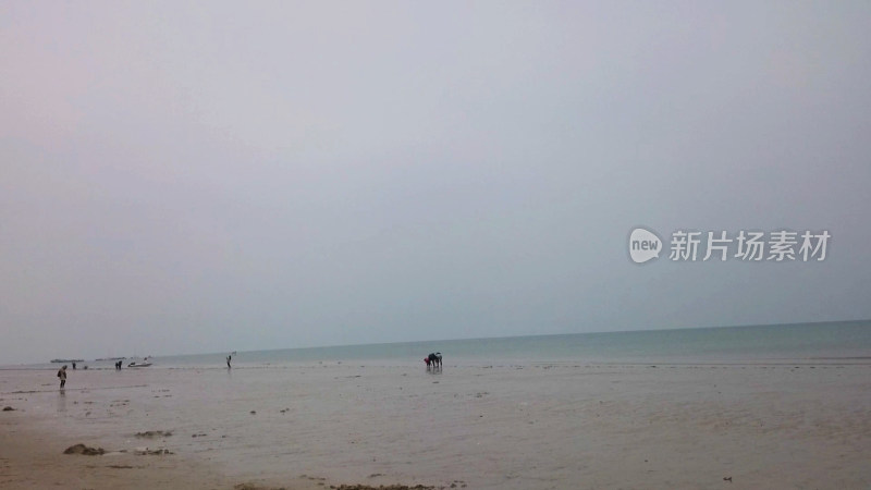 沙滩海边风景