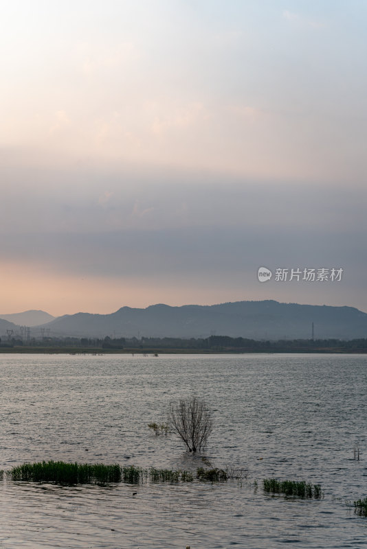 夏天的邹城孟子湖湿地湖泊自然景观