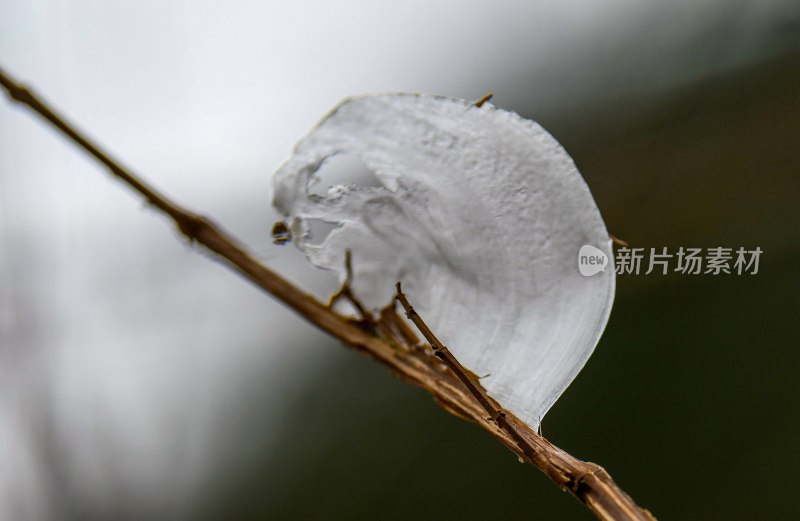 重庆酉阳：冰花